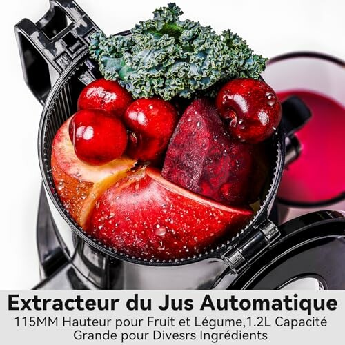 Extracteur de jus avec fruits et légumes.