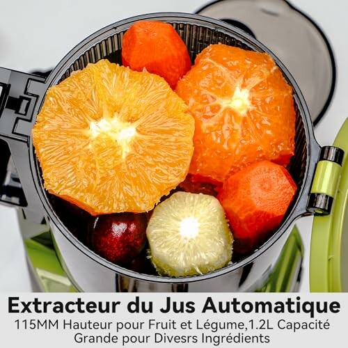 Extracteur de jus avec fruits et légumes.