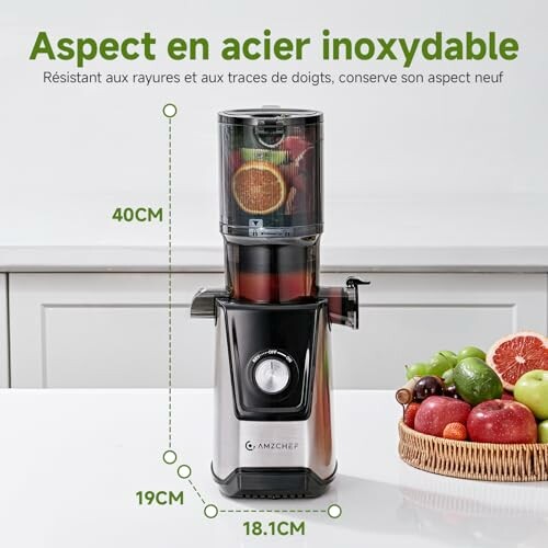 AMZCHEF Extracteur de Jus Lent 118MM